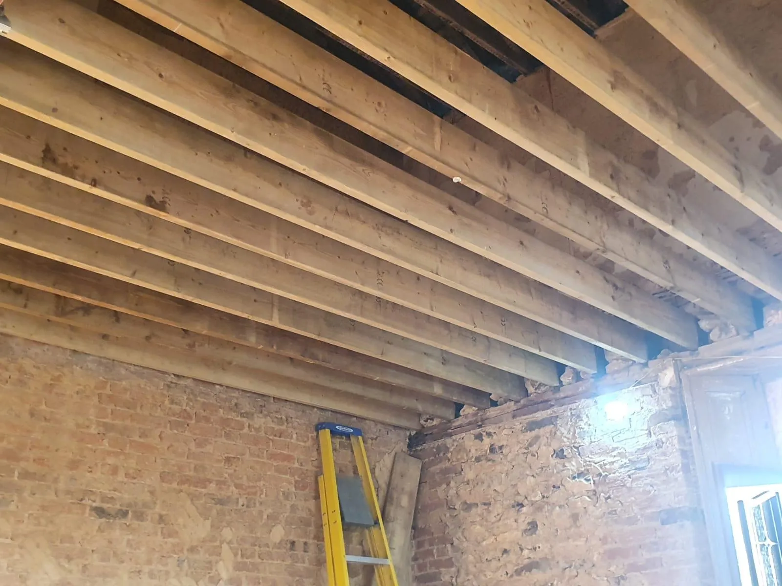 03ae4d32-2a24-404c-ab2e-38cb79af4d4e